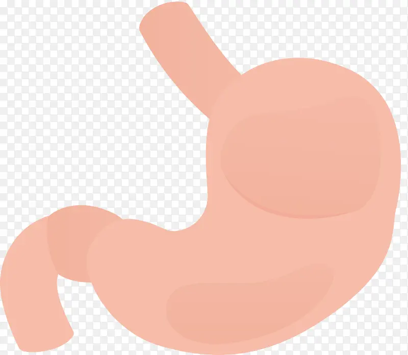 人体器官胃素材