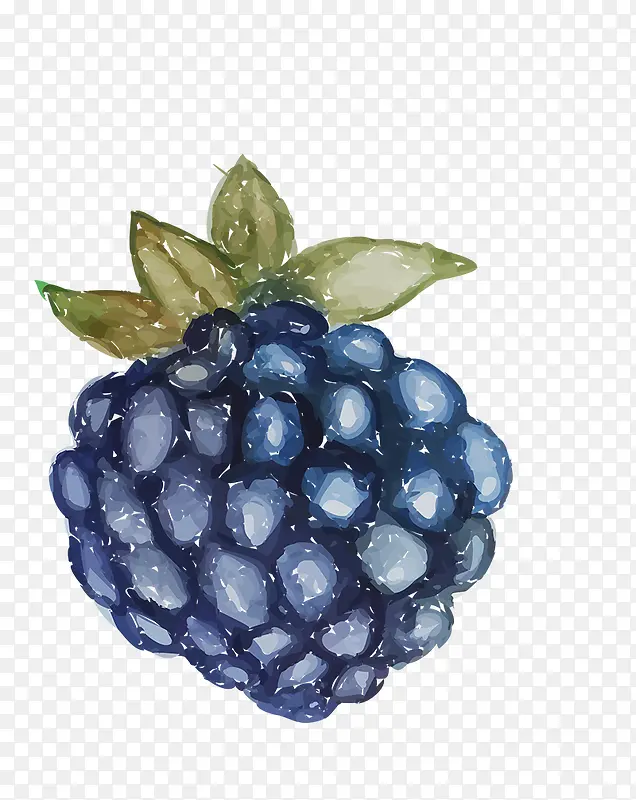 手绘紫色葡萄