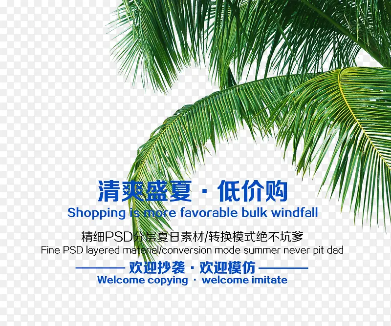 清爽盛夏