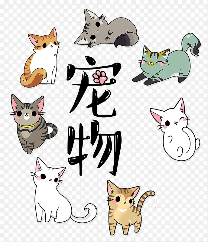 卡通宠物猫