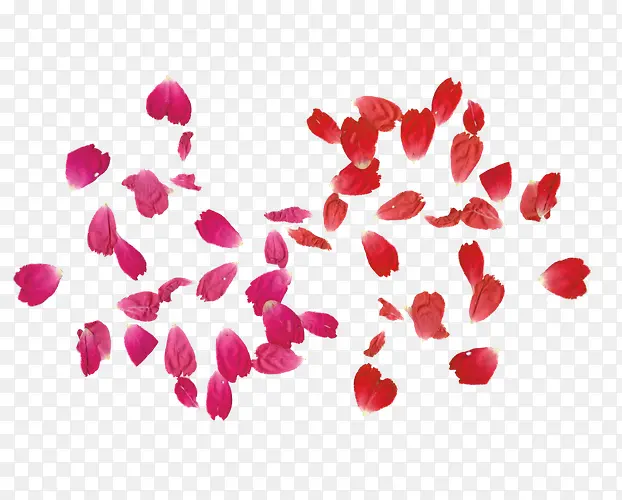 粉色红色月季花瓣装饰图案