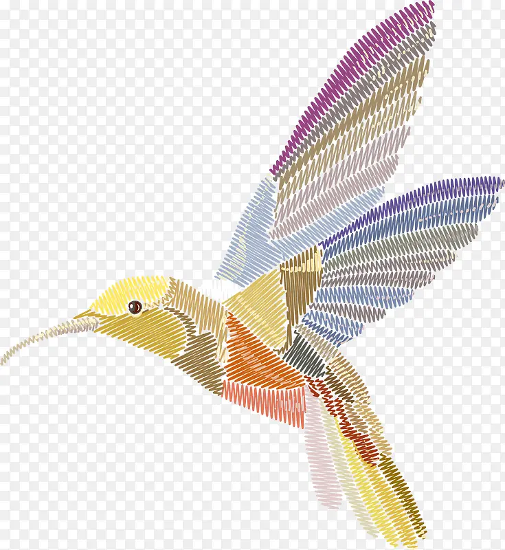 多彩线条蜂鸟