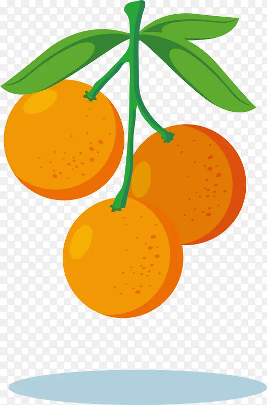 一串矢量卡通柑橘果实