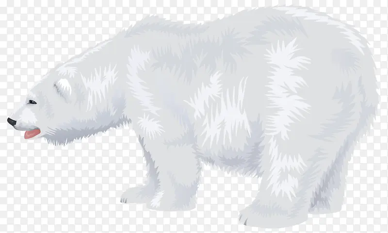 肥硕的雪白北极熊图行天下