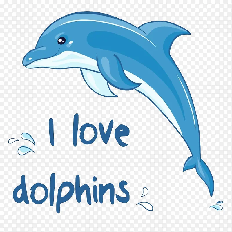 海豚英语