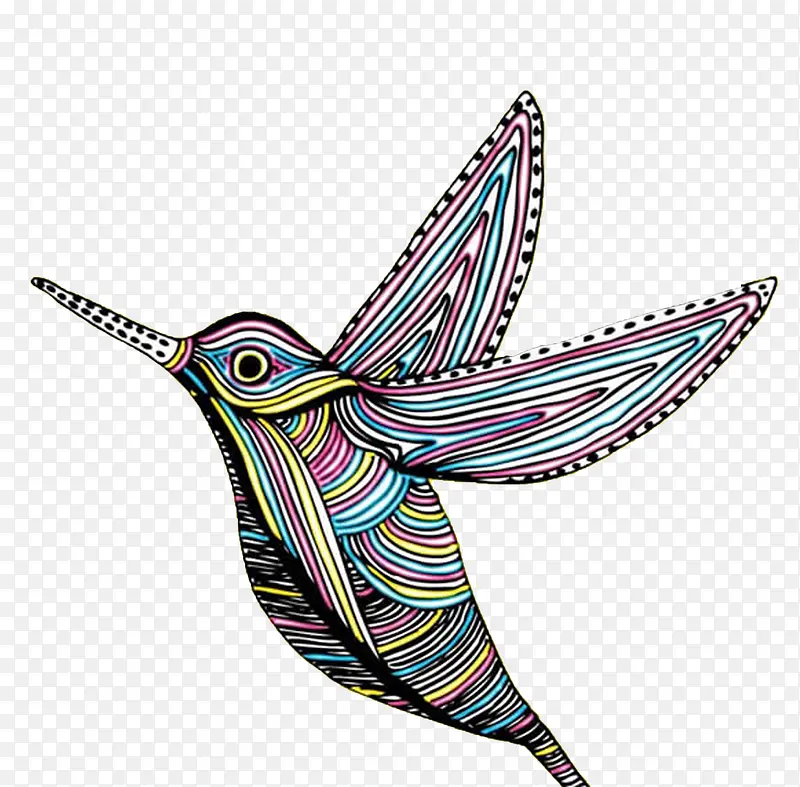 彩色装饰插画鸟