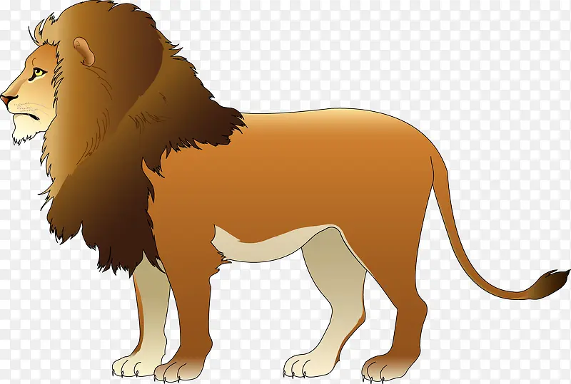 狮子野生动物矢量图