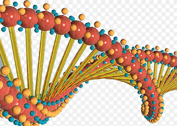基因结构