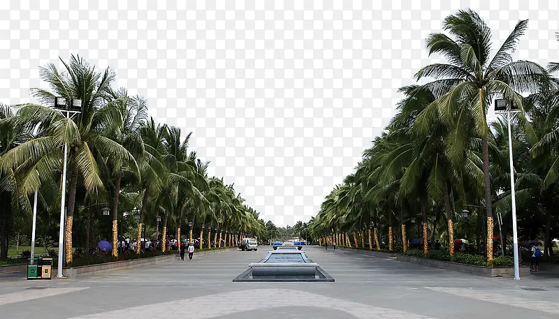 海南椰树街道