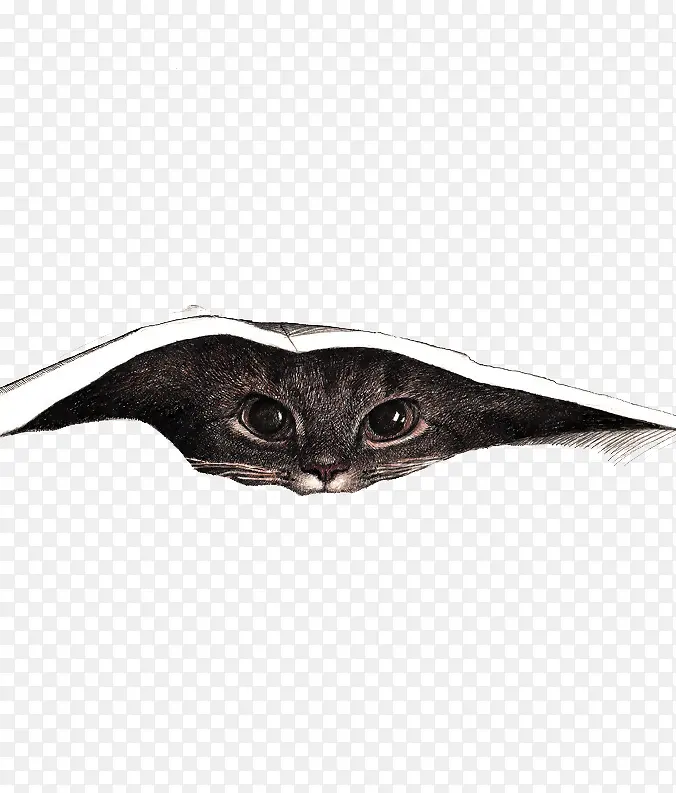 埋在被窝的猫咪素材