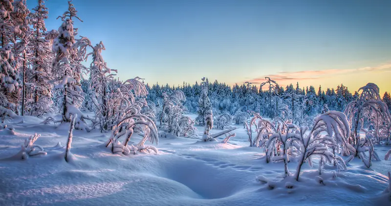 环境渲染效果森林雪景场景
