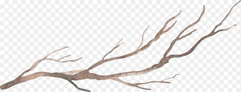 水彩卡通手绘树枝