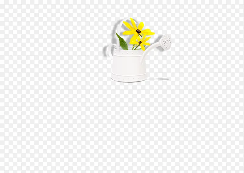 浇水壶，黄色小菊花，文艺庭院装