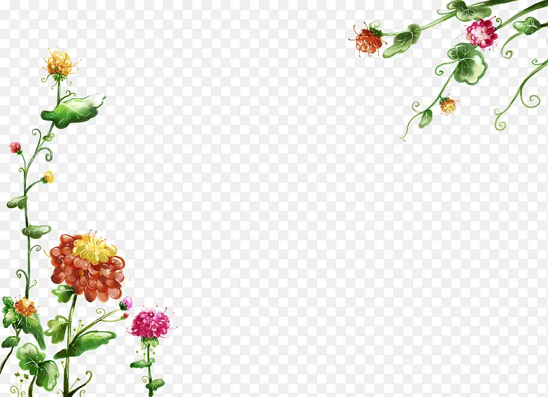 韩国风插画花朵