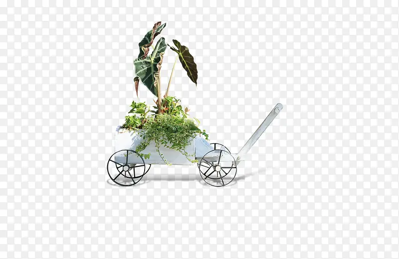 装着绿色植物的小推车，庭院