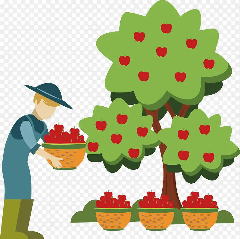 农庄摘苹果的农夫