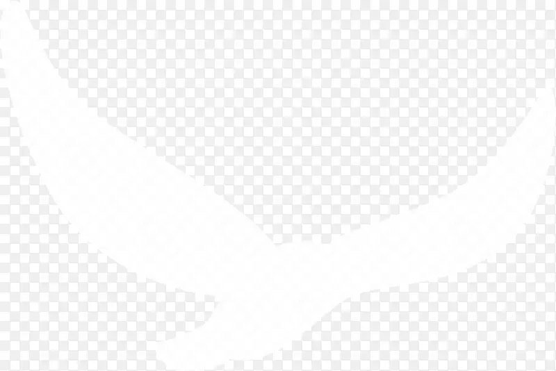 海鸥剪影白色素材