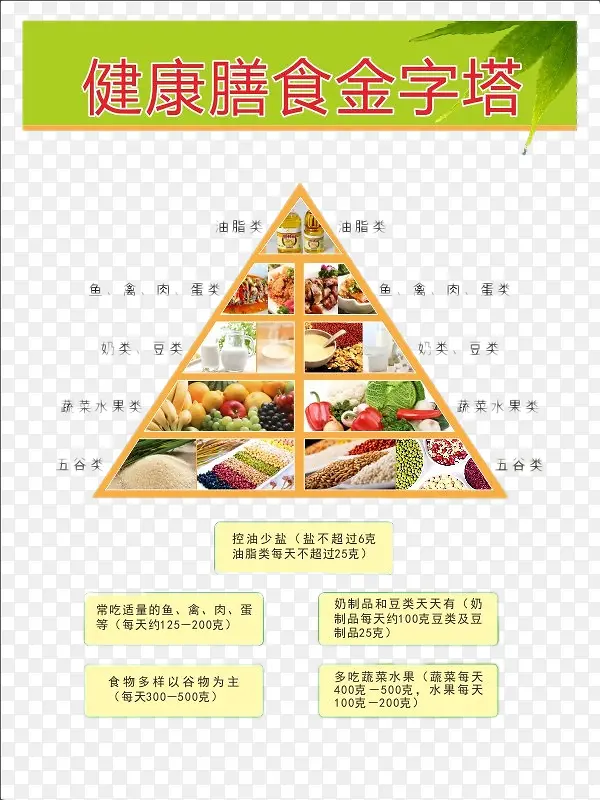 健康膳食金字塔