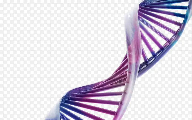 紫蓝色DNA模型