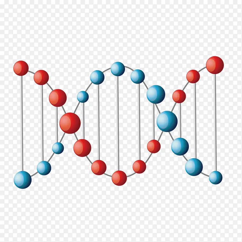 矢量DNA