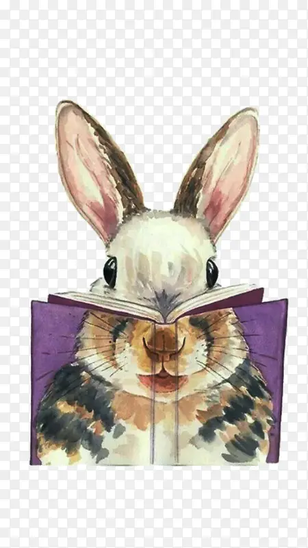手绘书后的兔子