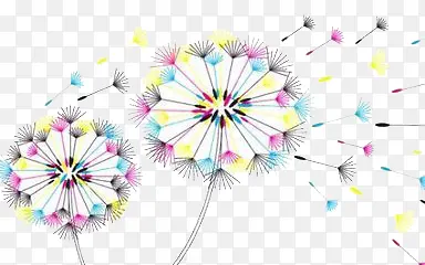 彩色蒲公英