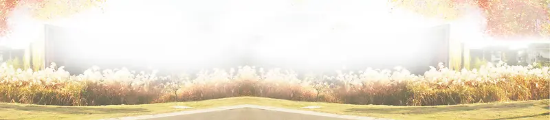 全屏背景 banner纯背景轮播