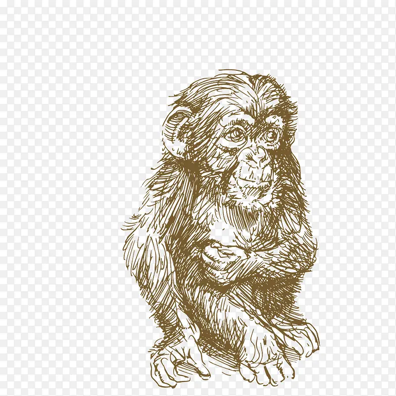 矢量铅绘手绘坐着的猴子