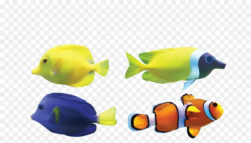 矢量彩色四款海洋深海鱼
