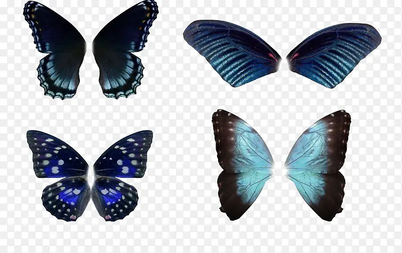 蓝色的蝴蝶集合