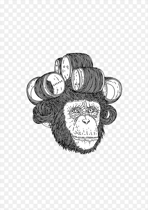 黑白烫发猴子插画