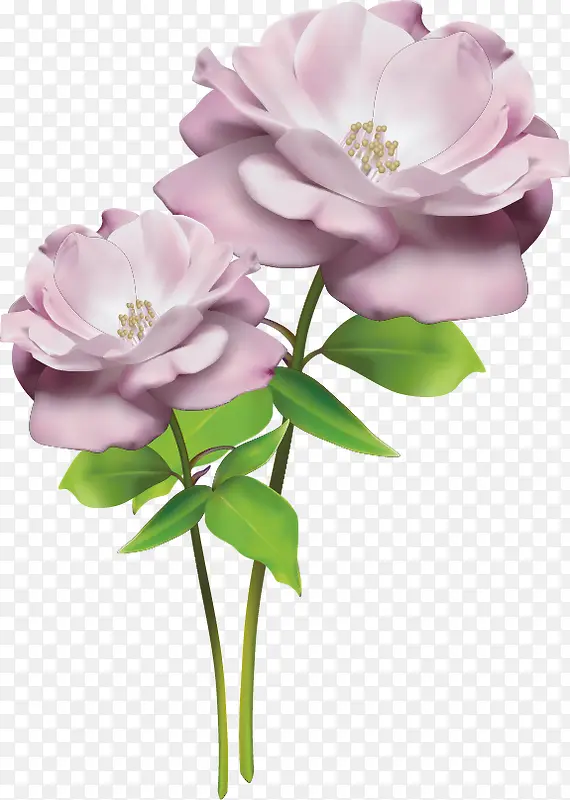 精美粉色花束花朵