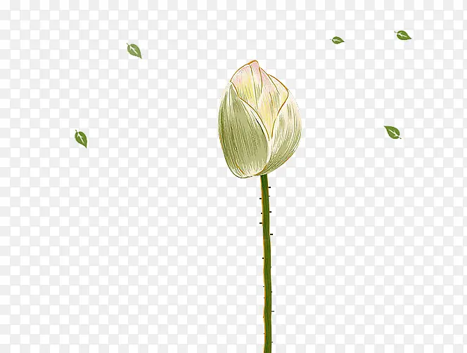 荷花元素