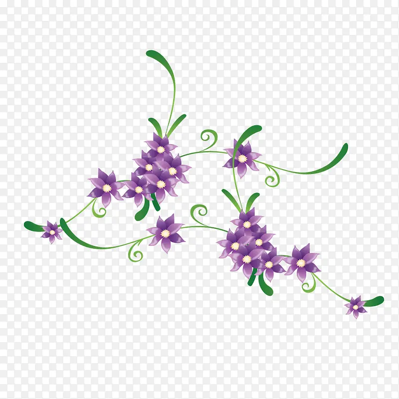矢量紫草枝叶花朵