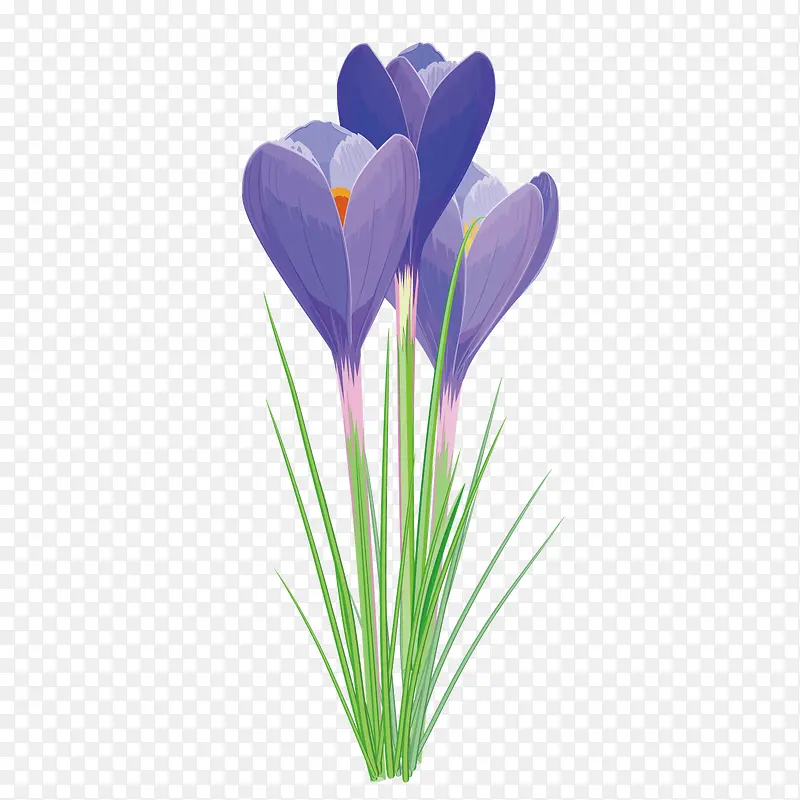 矢量紫色质感花朵花草