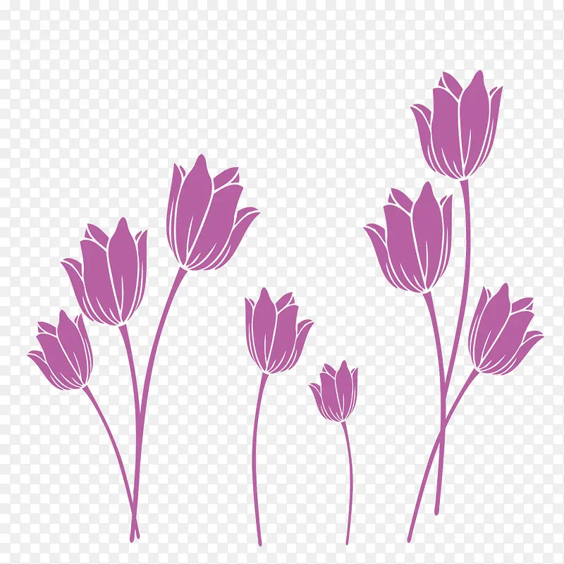 矢量紫色花朵小草