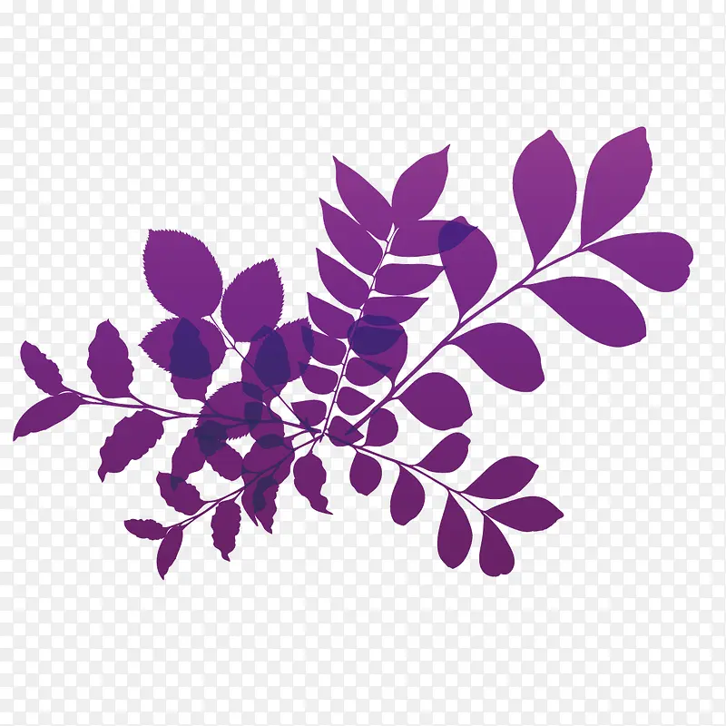 矢量紫色草叶花草
