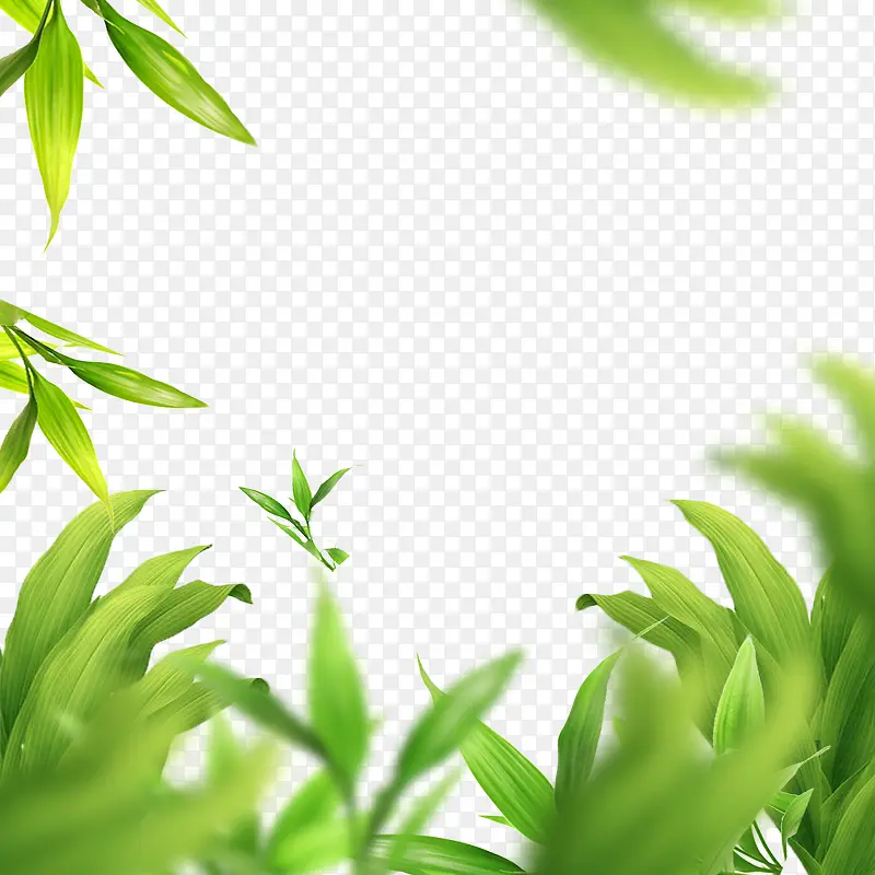 绿色高斯模糊植物茶叶