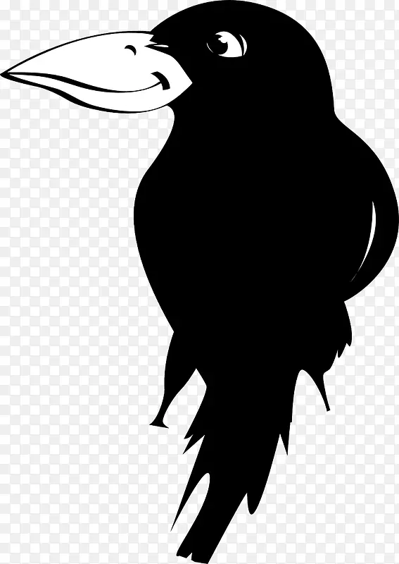 黑色的大嘴鸟