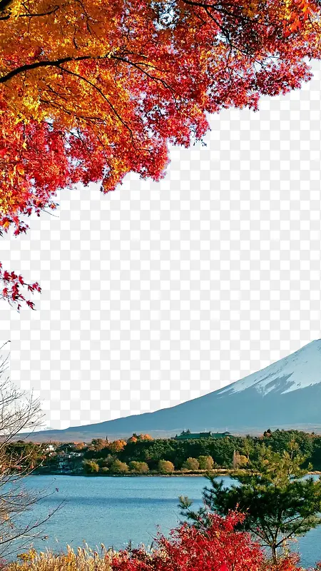 富士山下的秋天