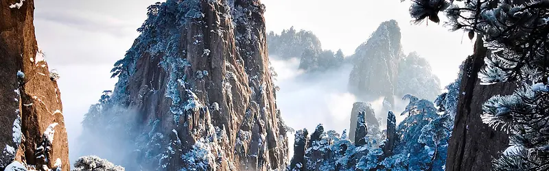 冬季雪上风景