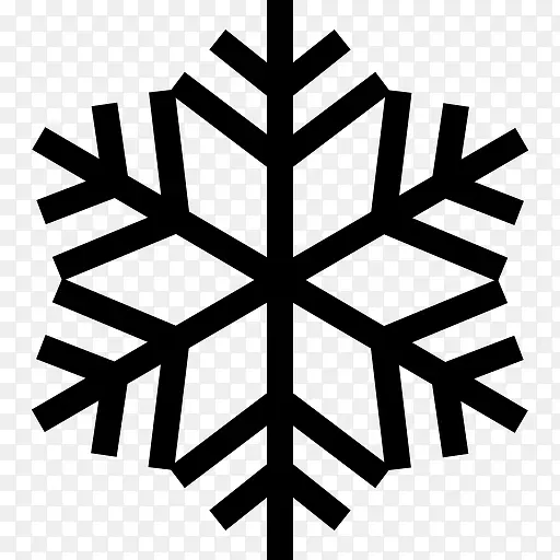 Snowflake Winter 图标