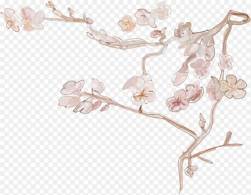 漂亮花枝花纹