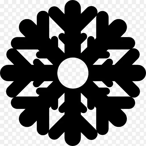 Snowflake 图标PNG图片素材下载_图片编号8511489-PNG素材网