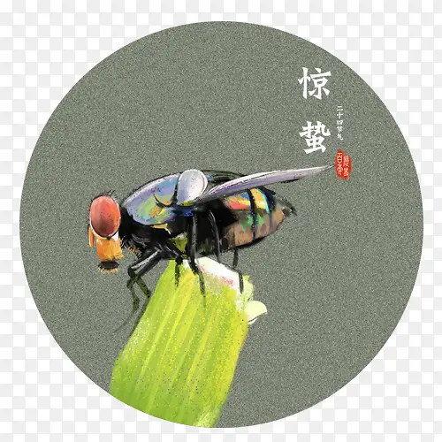 彩色质感装饰惊蛰昆虫设计图