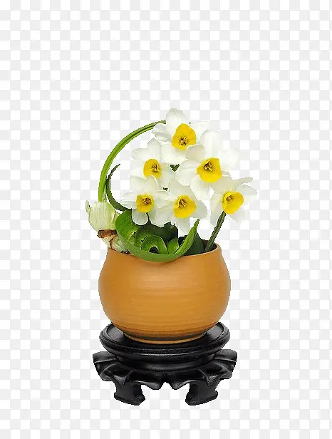 水仙花