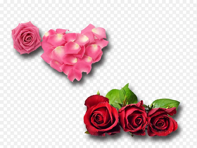两款浪漫玫瑰花