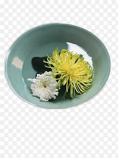 碗中的菊花