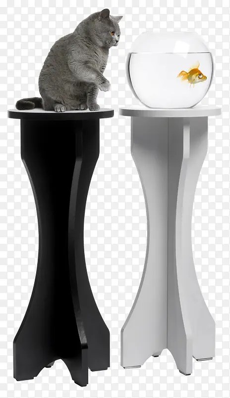 猫和鱼黑白桌