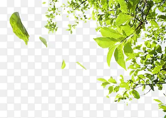 春天PNG图片素材下载_图片编号8518572-PNG素材网